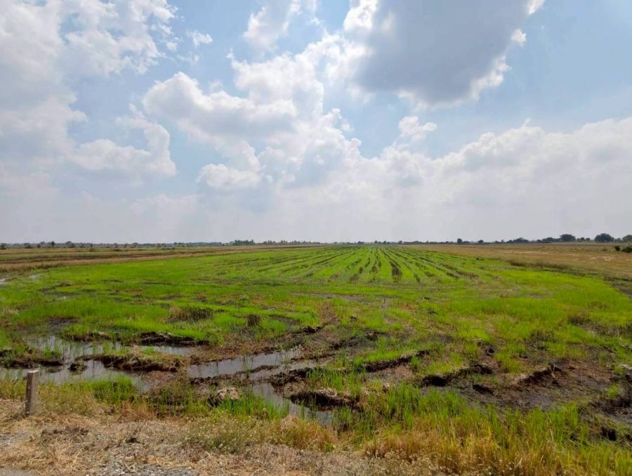 - ขายด่วน! ที่ดินบางน้ำเปรี้ยว 15 ไร่ 1 งาน 34 ตารางวา ติดถนนลาดยางสาธารณะ ทำเลทอง ราคาถูกที่สุดในย่านนี้