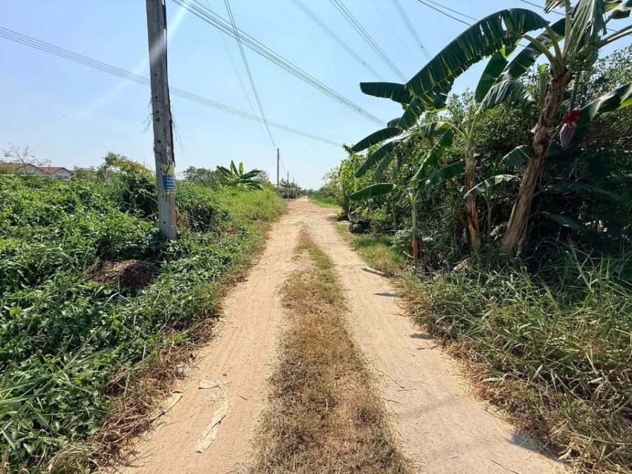 - ขายที่ดิน 55 ตารางวาซอยดำรงชาติ หนองจอกกรุงเทพฯ