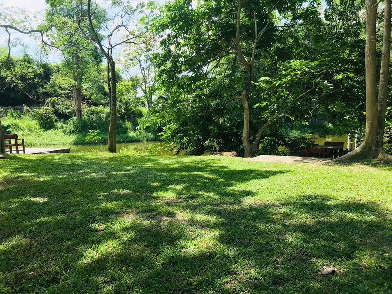 - ขายที่ดินแปลงสวย บรรยากาศดี ใกล้อ่างเก็บน้ำบางพระ ศรีราชา