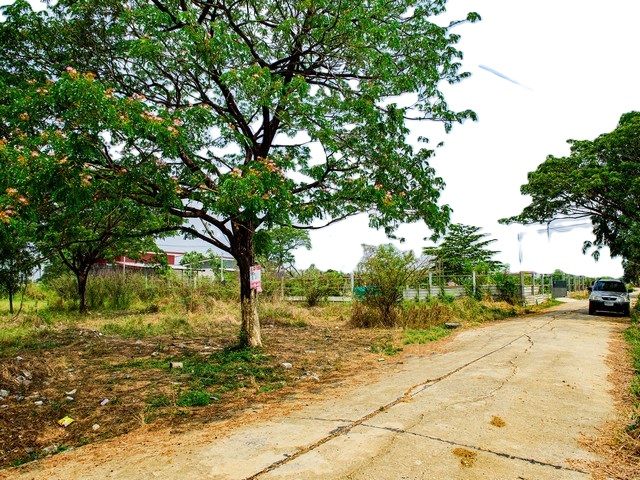 - ขายที่ดินเปล่า 407 ตรว. ในหมู่บ้าน K C Garden Home ย่านมีนบุรี ซอยนิมิตรใหม่ 40 อากาศสิ่งแวดล้อมดี ภายในโครงการมีสาธารณูปโภคครบครัน