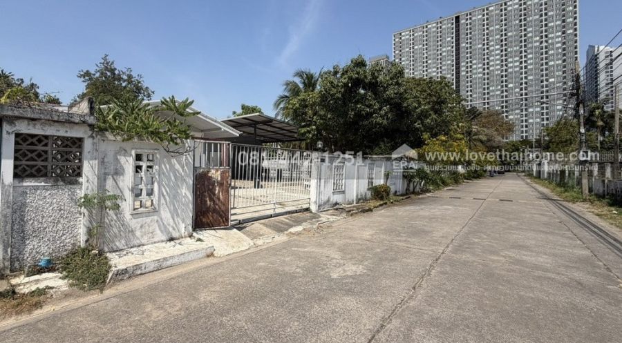 - ขายที่ดินแถมบ้าน ถนนสุขุมวิท70/3 ซอยล้วนเจืออนุสรณ์2 พื้นที่ 147 ตรว. ขายเพียงแค่ 120,000 บาท/ตรว. ขายถูกกว่าทุกแปลงในย่านนั้นแล้ว พูดจริงๆไม่ได้โม้!