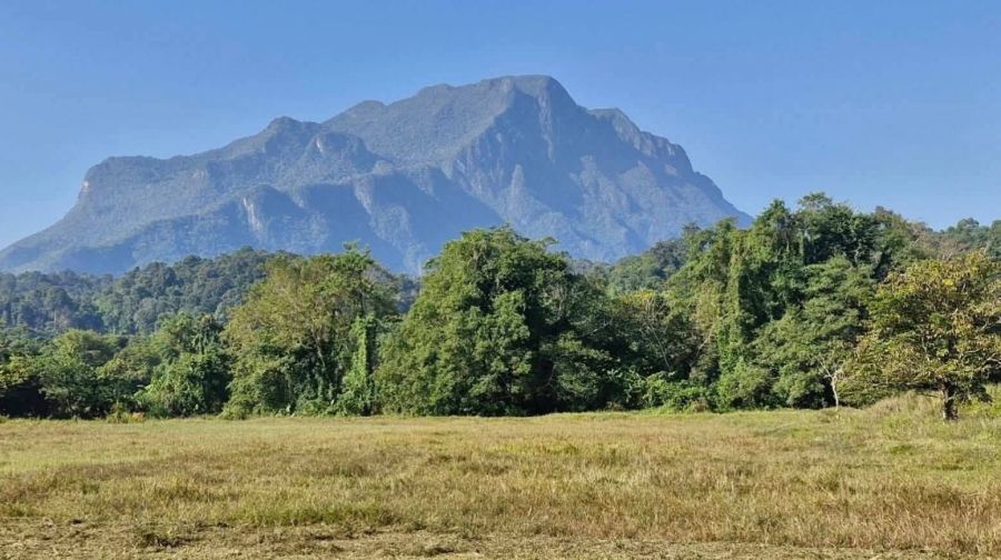 - ขายที่ดินวิวดอยหลวงดอยนางเชียงดาวติดลำเหมืองพร้อมโอน