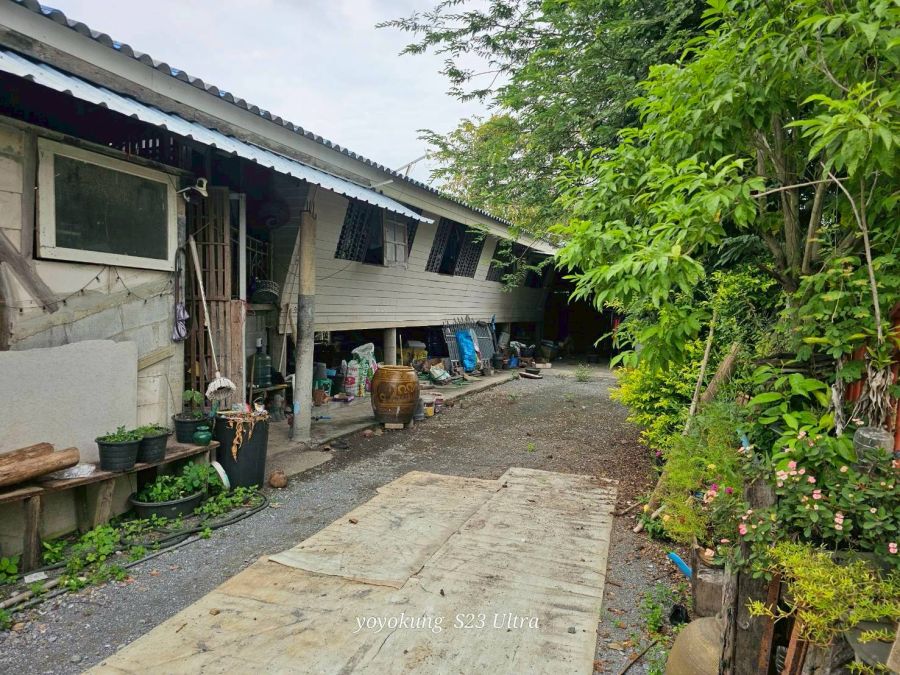 - ขายที่ดิน พร้อมสิ่งปลูกสร้าง เนื้อที่ 3-0-80 ไร่ ตำบลบางไทร อำเภอบางไทร จังหวัดนนทบุรี