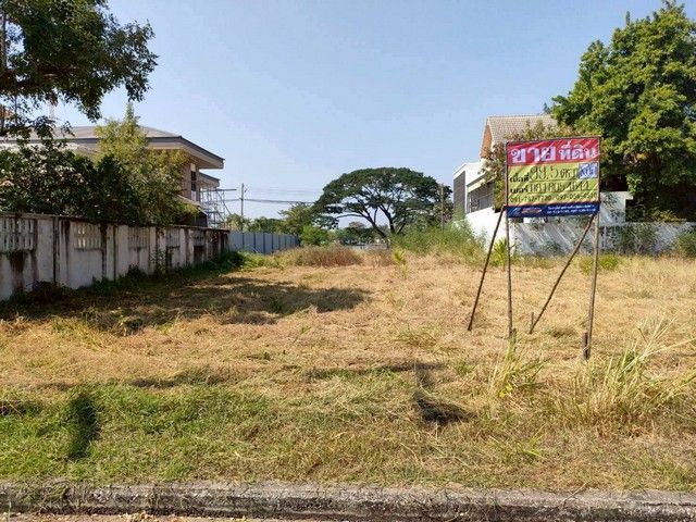 - ขายที่ดินแปลงสวย 99.5 ตร.วา หมู่บ้านมหาชัยเมืองทอง โครงการ1 ถนนสหกรณ์ บางหญ้าแพรก เมืองสมุทรสาคร ZW645