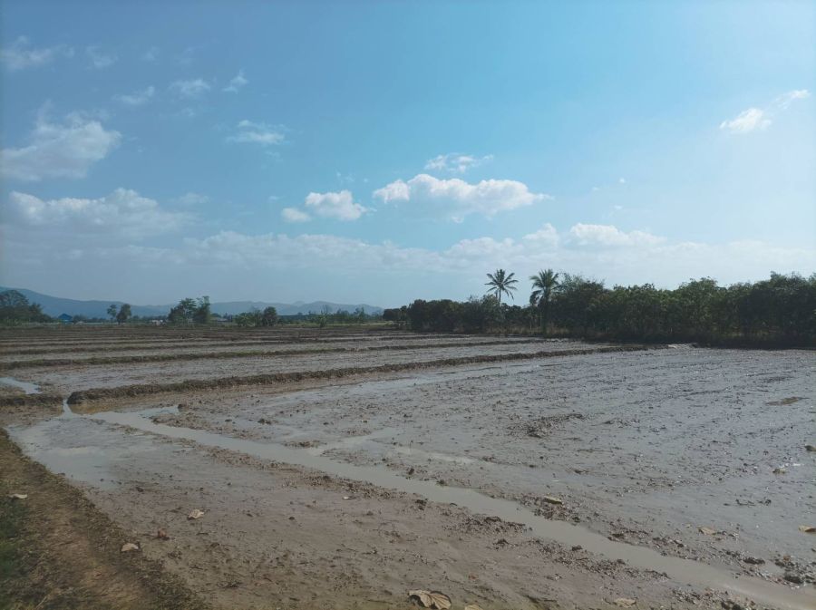 - ขายที่ดิน 5ไร่3งาน ต.ป่าป้อง อ.ดอยสะเก็ด เชียงใหม่