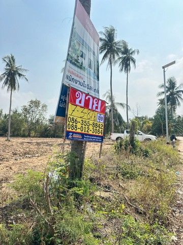 - ขายที่ดิน 7-3-87 ไร่ ถนนศรีราชา-หนองค้อ ซอย14 สุรศักดิ์ ศรีราชา ชลบุรี ZT884