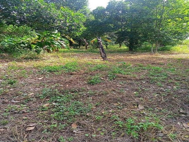 - ขายที่ดินสุรศักดิ์ ศรีราชา 200 ตร.วา ใกล้แหล่งชุมชน ติดถนน TP-L1866