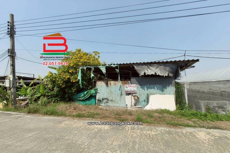 - ที่ดินเปล่า เนื้อที่ 3-2-55 ไร่ ซอยสวนผัก (100 ไร่) ม.7 ถนนกาญจนาภิเษกหมายเลข 9 ตำบลบางบัวทอง อำเภอบางบัวทอง นนทบุรี