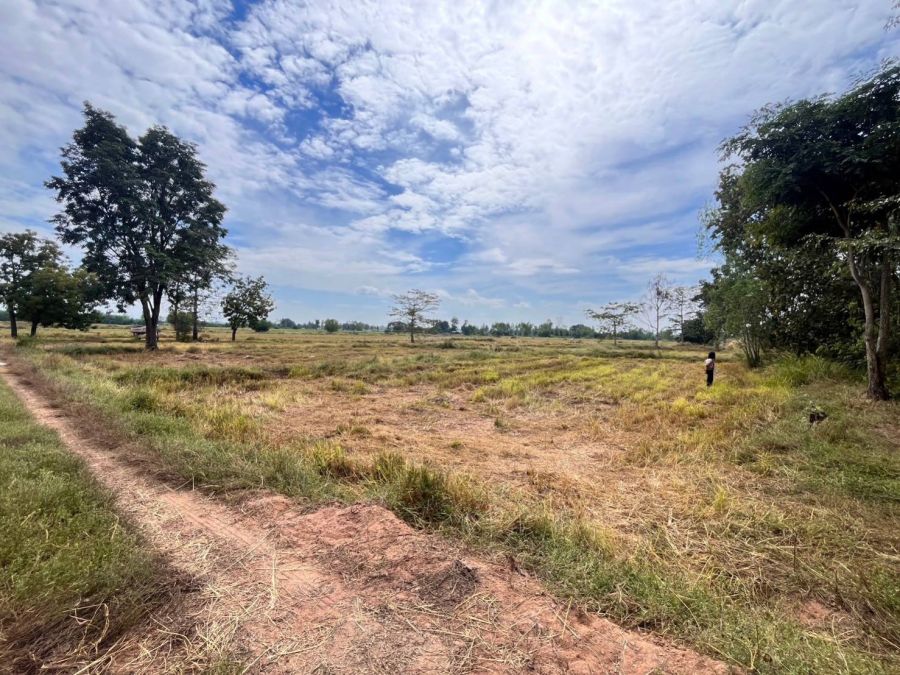 - ขายที่ดินเปล่า ตำบล ตะกุดไร อ.ชนแดน จ.เพชรบูรณ์ เอกสารสิทธิ์ โฉนดครุฑแดง พื้นที่ 42 ไร่ 2 งาน 50 ตารางวา