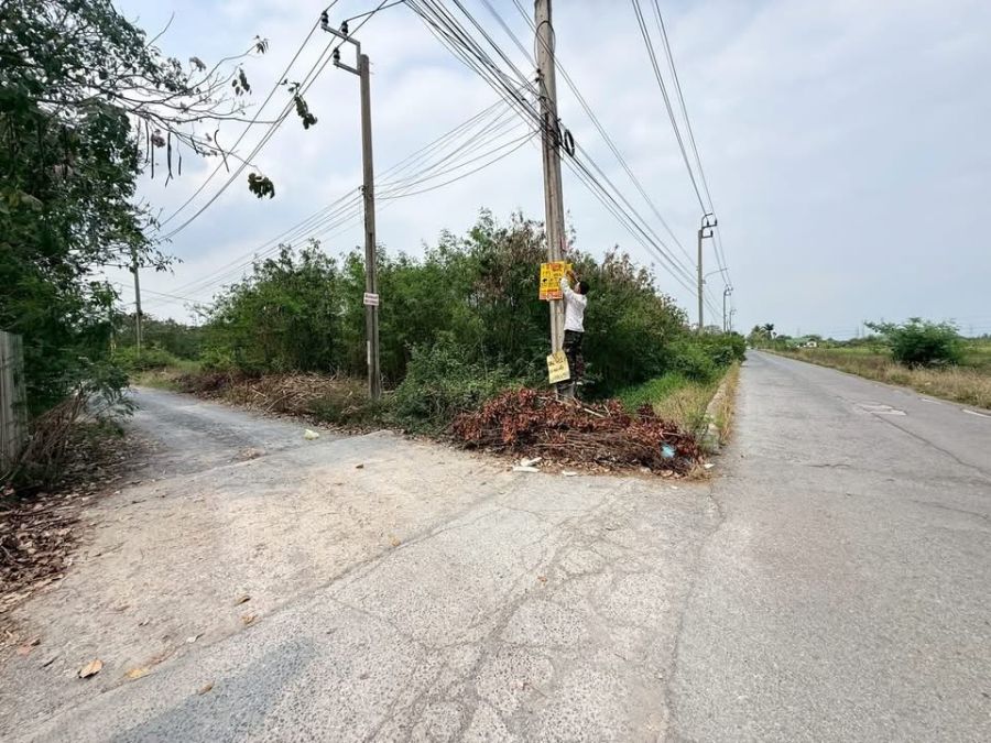 - ขายด่วนที่ดิน 115 ตารางวา แปลงมุม ติดถนนสาธารณะ รร.บ้านคลองฝรั่ง อ.ไทรน้อย จ.นนทบุรี