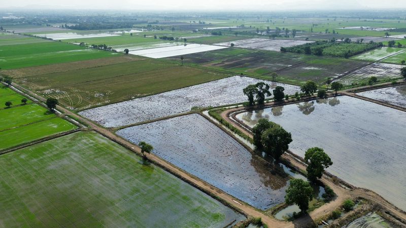 - ขายที่นา 27-1-44 ไร่ แปลงสวย น้ำไม่ท่วม ติดทางสาธารณะ ตำบลบ้านกลับ อำเภอหนองโดน จังหวัดสระบุรี