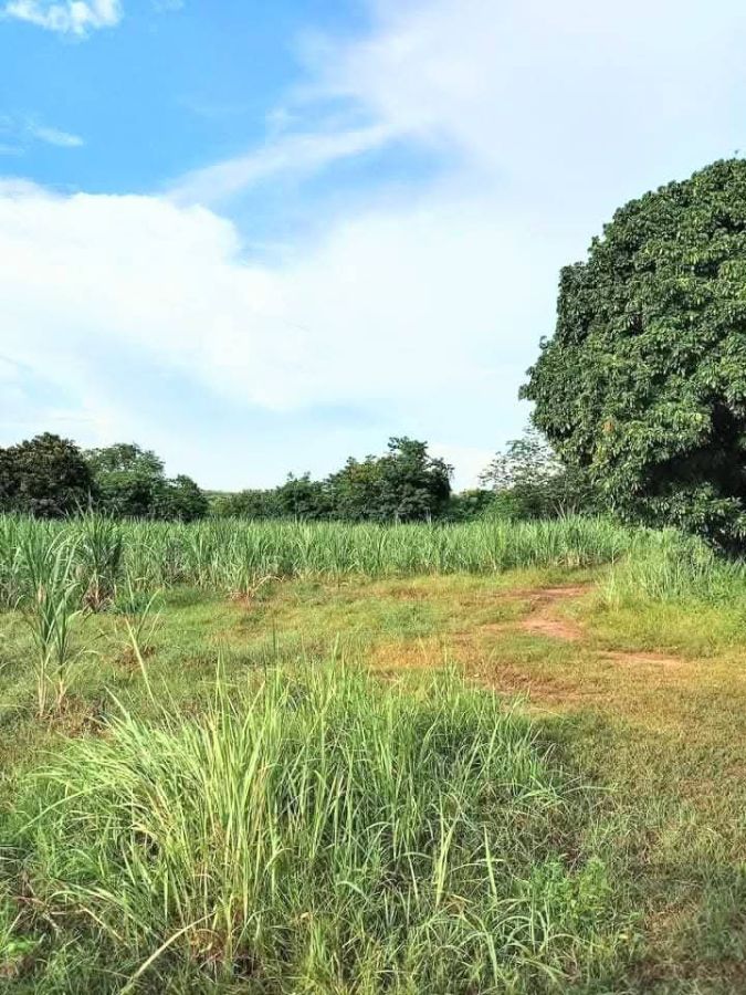 - ที่ดินติดแหลงน้ำ ใกล้ชุมชน และที่ว่าการอำเภอ อ.ท่าปลา อุตรดิตถ์