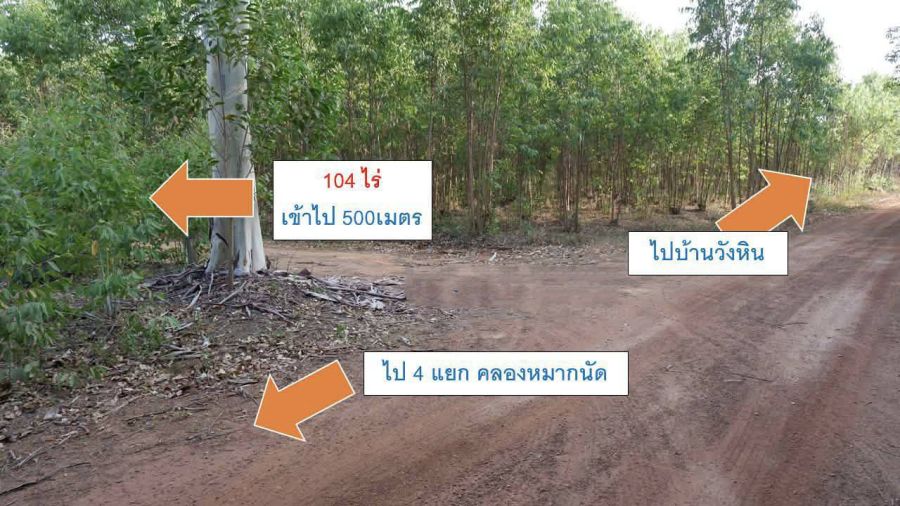 - ที่ดินแปลงใหญ่ 104 ไร่ โอกาส Mega Project จ.สระแก้ว อ.เมือง ต.บ้านแก้ง