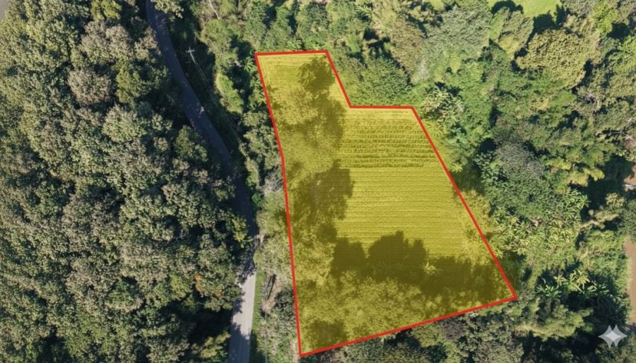 - ที่ดินแม่ริม ใกล้ธรรมชาติ แปลงใหญ่ เหมาะทำ Private Estate / Wellness Premium