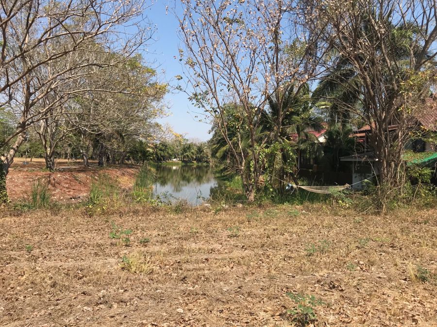 - ที่ดินโครงการเจ้าสำราญเลค & ฮิลล์ใกล้ชายหาดเจ้าสำราญ เมืองเพชรบุรีพื้นที่125 ตร.วาติดLake แปลงต้นโครงการใก้ลสโมสร