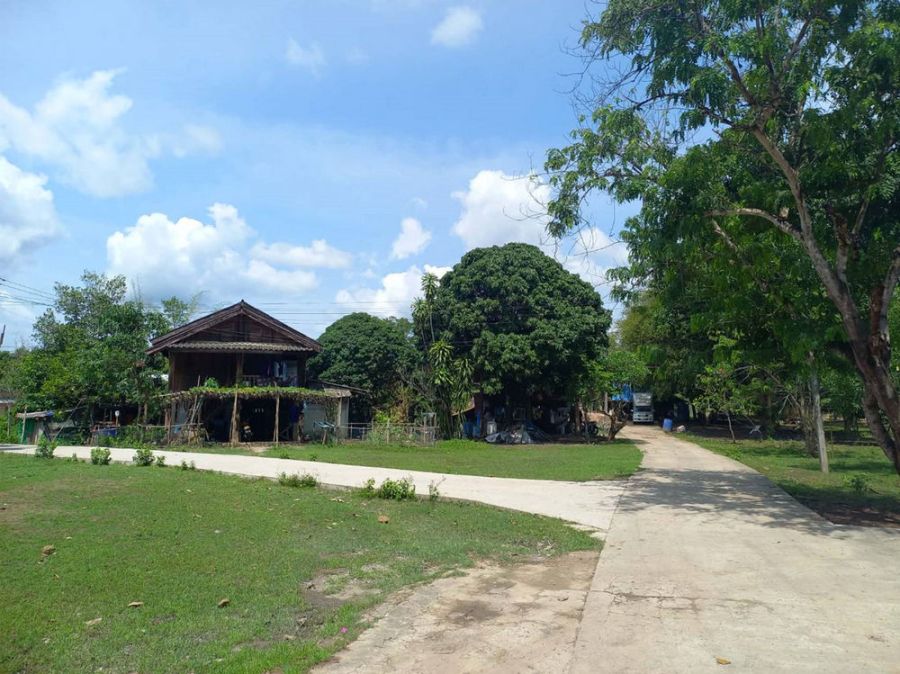 - ขายที่ดินสิ่งปลูกสร้าง 13-3-22 ไร่ สวนมะม่วงน้ำดอกไม้ ตำบลพระธาตุผาแดง อำเภอแม่สอด จังหวัดตาก