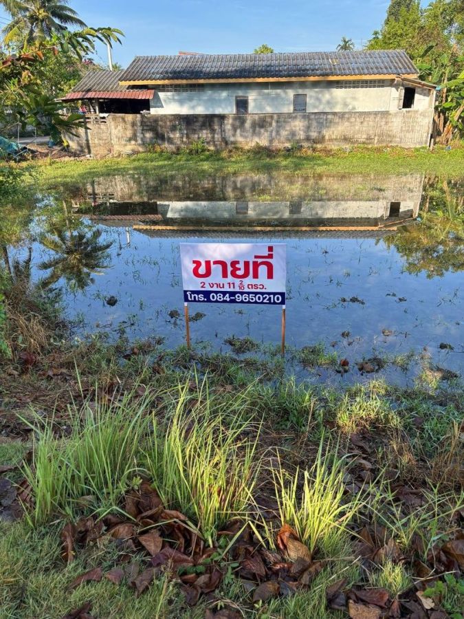 - ขายที่ดินเปล่า ทำเลดี ใกล้ตลาด อ.เมือง พัทลุง