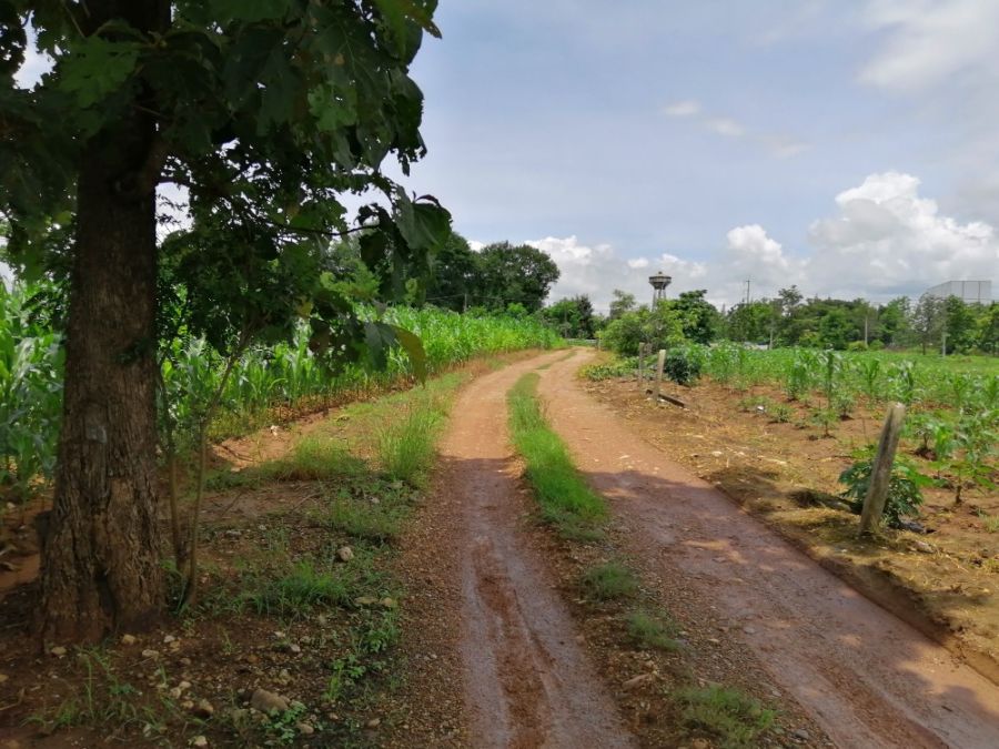 - ขายที่ดินเปล่า 12-3-56 ไร่ สวยๆ หน้าติดถนนคอนกรีต หลังติดลำห้วย ต.แม่กาษา อ.แม่สอด จ.ตาก เหมาะทำรีสอร์ท