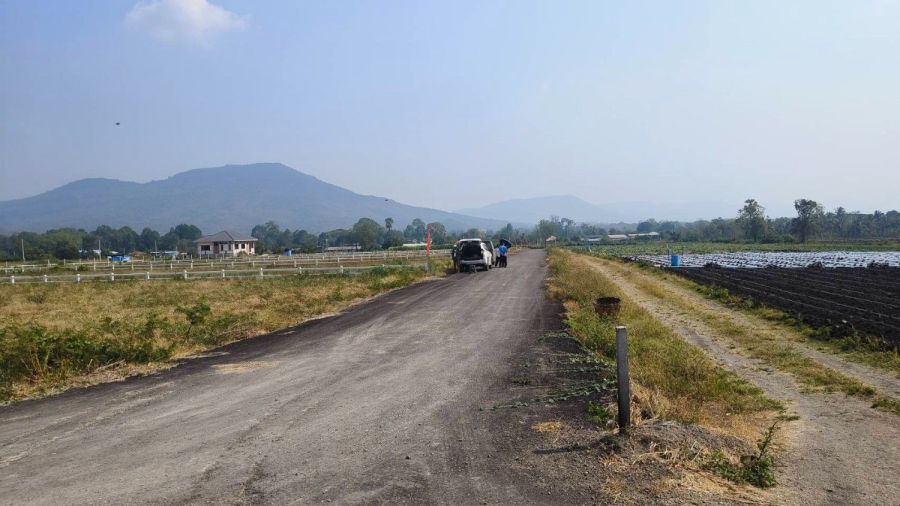 - ที่ดินวังไทร-ปากช่อง วิวเขายายเที่ยง ล้อมรอบวิวเขา ใกล้ชุมชนไม่เปลี่ยว