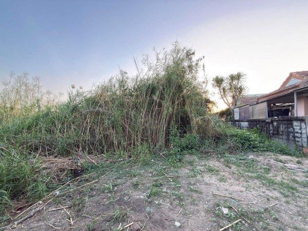 - ขายที่ดินปากเกร็ด ซอยพระอินทร์ 3 (รหัสทรัพย์ 202614) ต.บางพูด อ.ปากเกร็ด จ.นนทบุรี