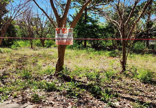 - ขายที่ดิน ในโครงการเจ้าสำราญเลคแอนด์ฮิลล์ ถนนเลียบคลองชลประทานสาย 3 อำเภอเมือง เพชรบุรี