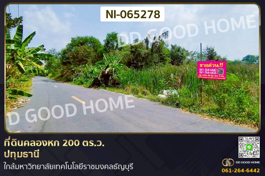 - ที่ดินคลองหก 200 ตร.ว. ปทุมธานี ใกล้มหาวิทยาลัยเทคโนโลยีราชมงคลธัญบุรี