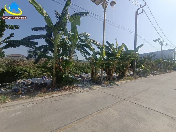 - ขายที่ดิน 213 ตารางวา ซอยบ้านบัวเกราะ 10 ซอยลาดกระบัง 14/1 ราชาเทวะ บางพลี สมุทรปราการ เหมาะสร้างบ้าน โกดัง