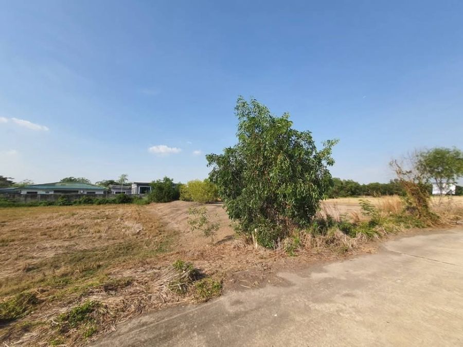 - ขายด่วน !! ที่ดินคลองห้า 1 ไร่ ถมแล้วทั้งแปลง ติดถนนคอนกรีต กลั่นกรอง อ.คลองหลวง จ.ปทุมธานี