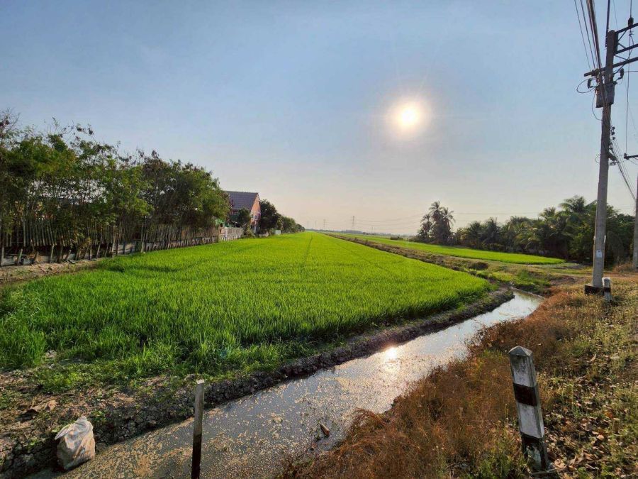 - ขายที่ดิน ลาดหลุมแก้ว ปทุมธานี 16-2-84 ไร่ ใกล้ โลตัส ลาดหลุมแก้ว