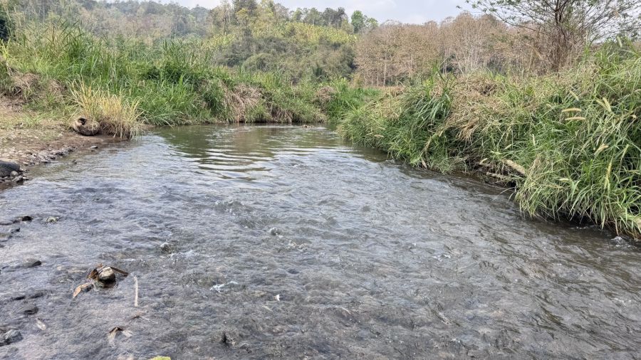 - ที่นาขั้นบันไดติดลำธารบรรยากาศดีท่ามกลางธรรมชาติภูเขา