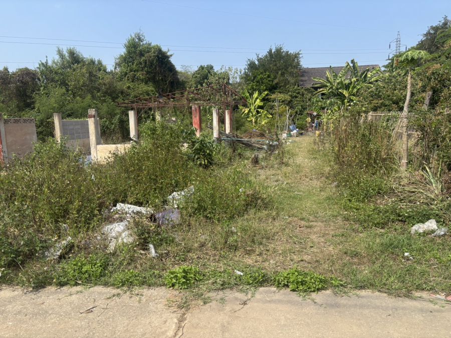 - ขายด่วน ที่ดินสวย ทำเลดี ต.ป่าซาง อ.ป่าซาง จ.ลำพูน