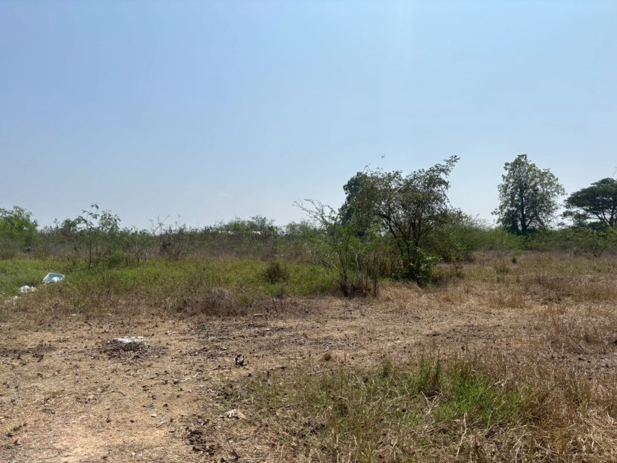 - ขายด่วน ที่ดินแปลงใหญ่ ทำเลดี ใกล้ตัวเมืองลำพูน