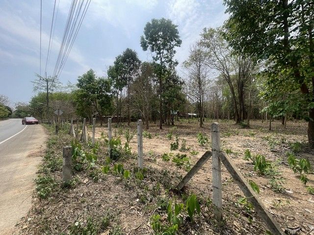 - ที่ดินใกล้สนามบินน่านร่มรื่นด้วยไม้ยืนต้นเหมาะทำบ้านสวนรีสอร์ทหรือเกร็งกำไรทำเลดี