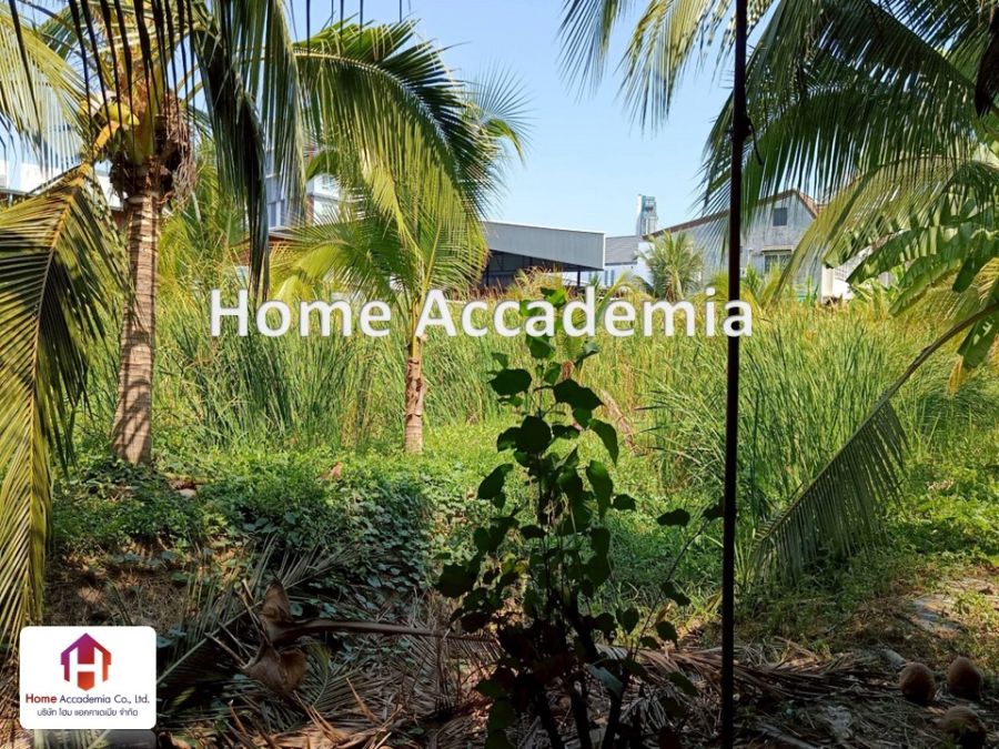 - ประกาศ ขายที่ดิน ใจกลางหัวหมาก เนื้อที่ 1-3-14 ไร่