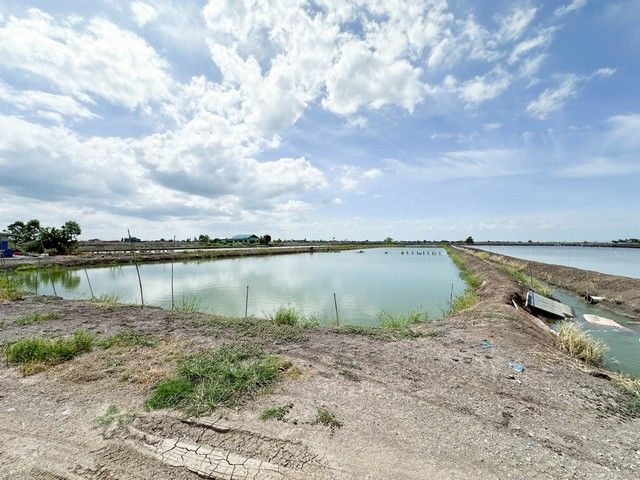 - ขายที่ดินเปล่า สุพรรณบุรี 6 ไร่ 3 งาน 72 ตร.ว ติดถนนสาธารณะประโยชน์ ห่างถนนใหญ่ประมาณ 1.2 กม