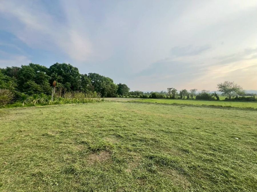 - ขายที่ดินตำบลสันมหาพนแม่แตงวิวสวยโฉนดพร้อมโอน