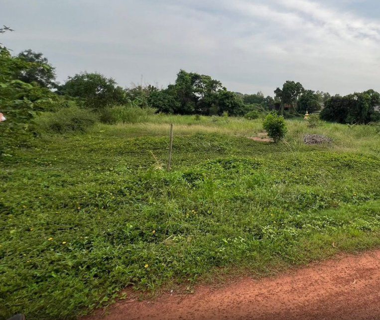 - ขายที่ดินโคกไม้ลาย 1 ไร่ ใกล้ถนนสุวรรณศรสายเก่า3649-100เมตร อ.เมืองปราจีนบุรี