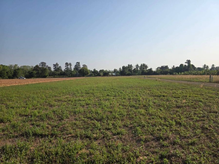 - ขายถูกมาก!! ที่ดินแบ่งแปลง 3งาน-1ไร่ ทำเลทอง อ.นางรอง จ.บุรีรัมย์ 4นาทีถึง รพ.นางรอง ใกล้ตลาด โลตัส