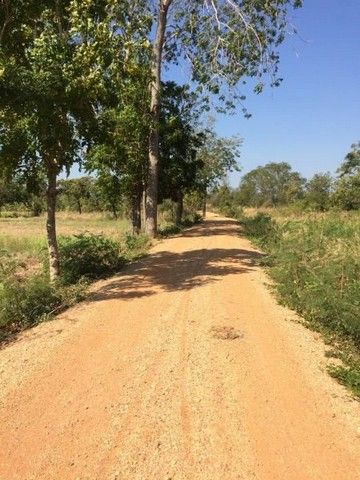 - ขายที่ดินที่นา 7ไร่95ตรว. 1.1ลบ. หลังบ้านหนองบัวขาว-โนนกอก ใกล้ ถ.ชัยภูมิ-บ้านเขว้า ต.รอบเมือง อ.เมือง ชัยภูมิ