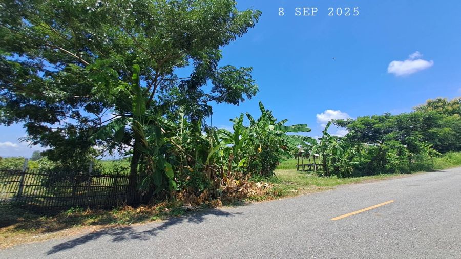- ขายด่วนไร่นาสวนผสมติดถนนลาดยาง มีโฉนด 8 ไร่กว่า ขายยกแปลง 2.9 ล้านบาทรวมโอน