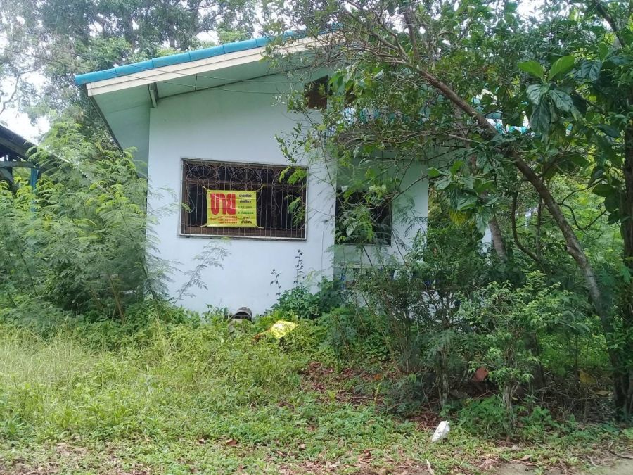 - ขายบ้านชั้นเดียวพร้อมที่ดิน อ.ปากพนัง จ.นครศรีธรรมราช พร้อมเข้าอยู่ ทำเลดี ใกล้กรมชลประทาน