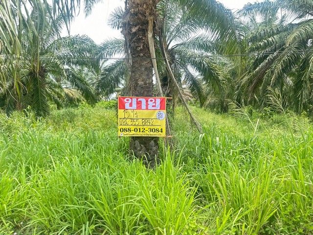 - ขายที่ดิน 15 ไร่ เขาคันทรง ศรีราชา ชลบุรี ใกล้ อบต.เขาคันทรง ZT912