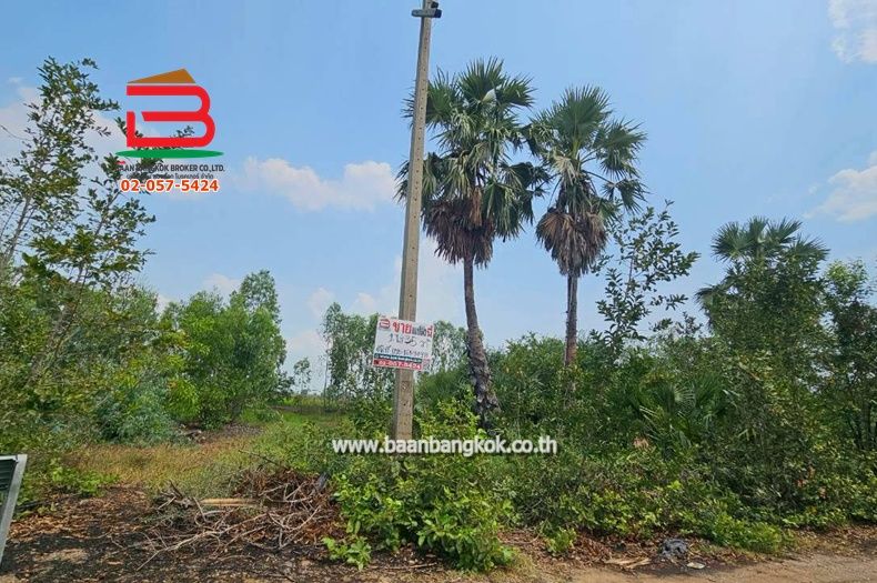 - ที่ดินเปล่า หมู่บ้าน อริสรา ลาดบัวหลวง เนื้อที่ 1-0-35 ไร่ ถนนบางบัวทอง-สุพรรณบุรี อ.ลาดบัวหลวง จ.อยุธยา