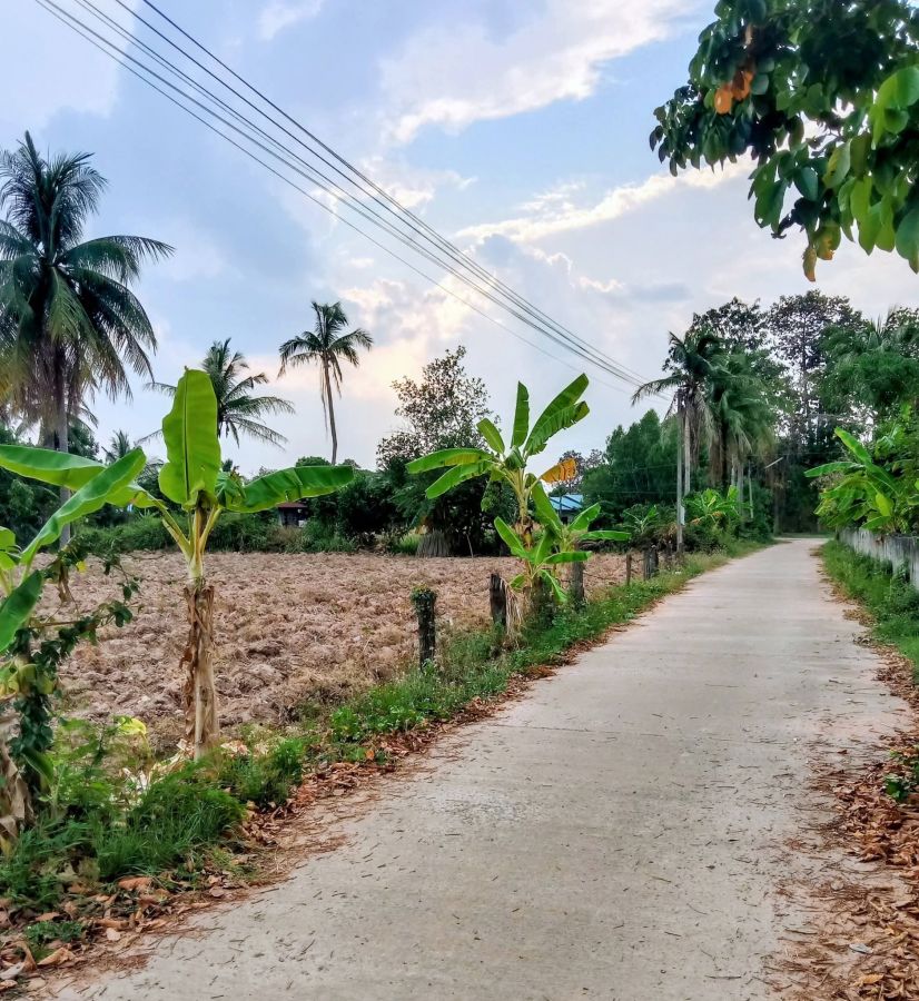 - ที่ดินอยู่อาศัย แปลงสี่เหลี่ยมสวย โฉนด 1 ไร่เศษ ในชุมชน อ.ชำนิ บุรีรัมย์