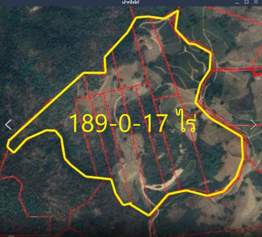 - ขายที่ดินเชิงเขา 189-0-17 ไร่ (ต.ป่าตึง อ.แม่จัน จ.เชียงราย)