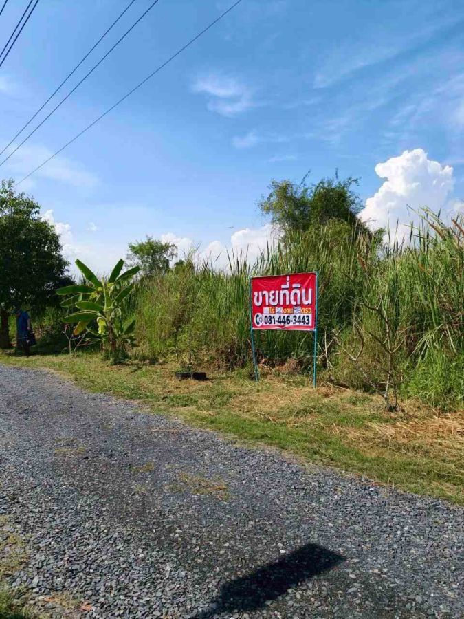 - ขายที่ดินเเปลงสวย ลำลูกกาคลอง 12 ทำเลดี ใกล้ถนนหลัก พร้อมปลูกสร้าง