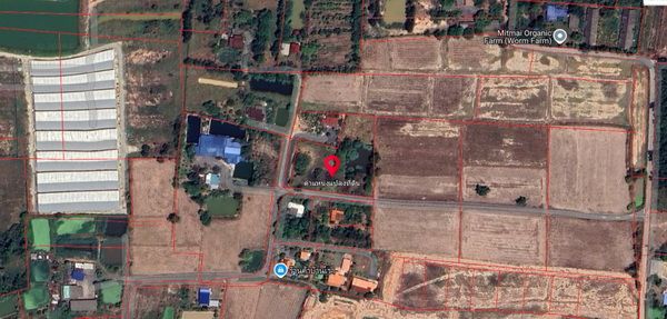 - ขายที่ดิน 3 ไร่ 108 ตารางวา ต.พิกุลออก ติดถนนคอนกรีต ขายไร่ละ 1.1 ล้านบาท