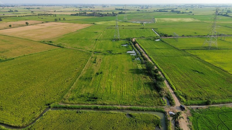 - ที่นา 8-2-29 ไร่ ใกล้สถานีรถไฟบ้านกลับ ตำบลดอนโพธิ์ อำเภอเมือง จังหวัดลพบุรี