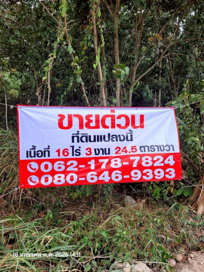 - ขายที่ดินสวนยาง แปลงสี่เหลี่ยมสวย ทำเลทอง EEC ใกล้นิคมฯ เจ้าของขายเอง