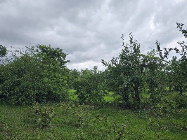 - ขายที่ดิน ประจวบ พื้นที่ 5 ไร่ ต.อ่าวน้อย อ.เมือง จ.ประจวบคีรีขันธ์